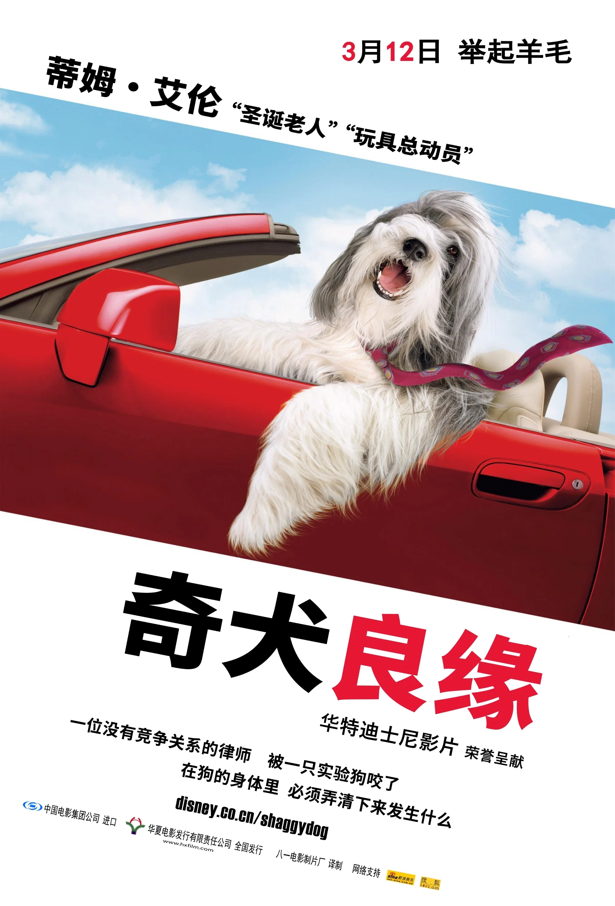 长毛狗