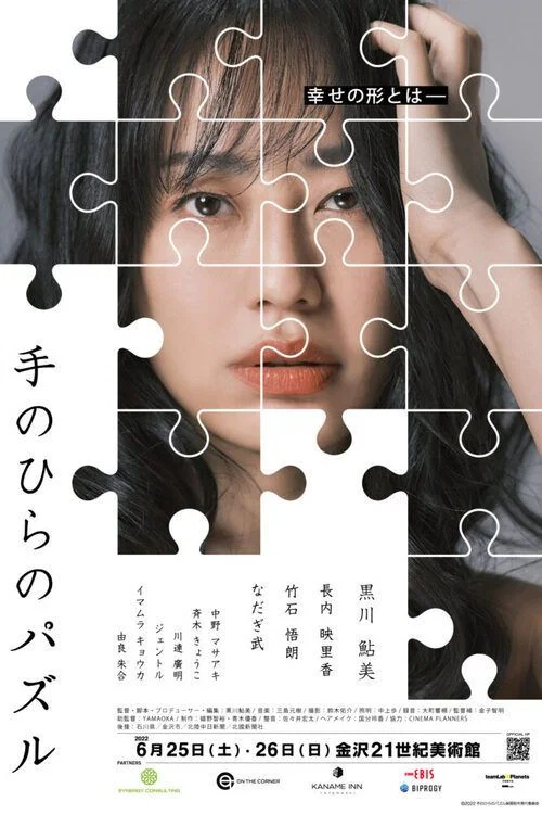 遗落拼图