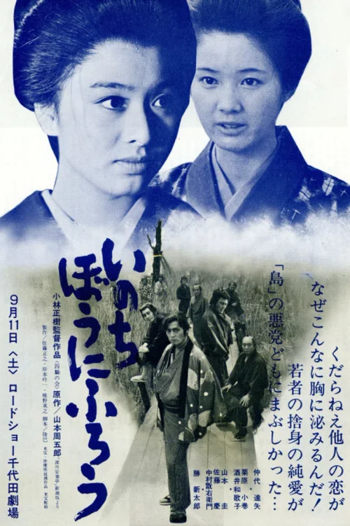 在我冒险的日子