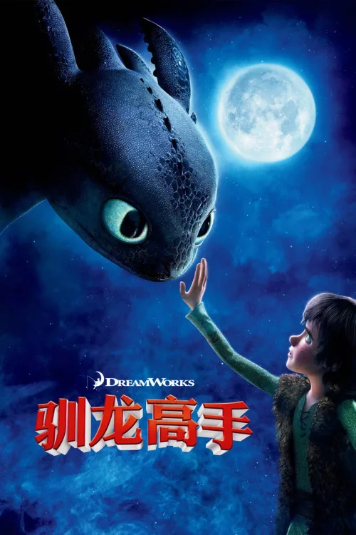 驯龙高手