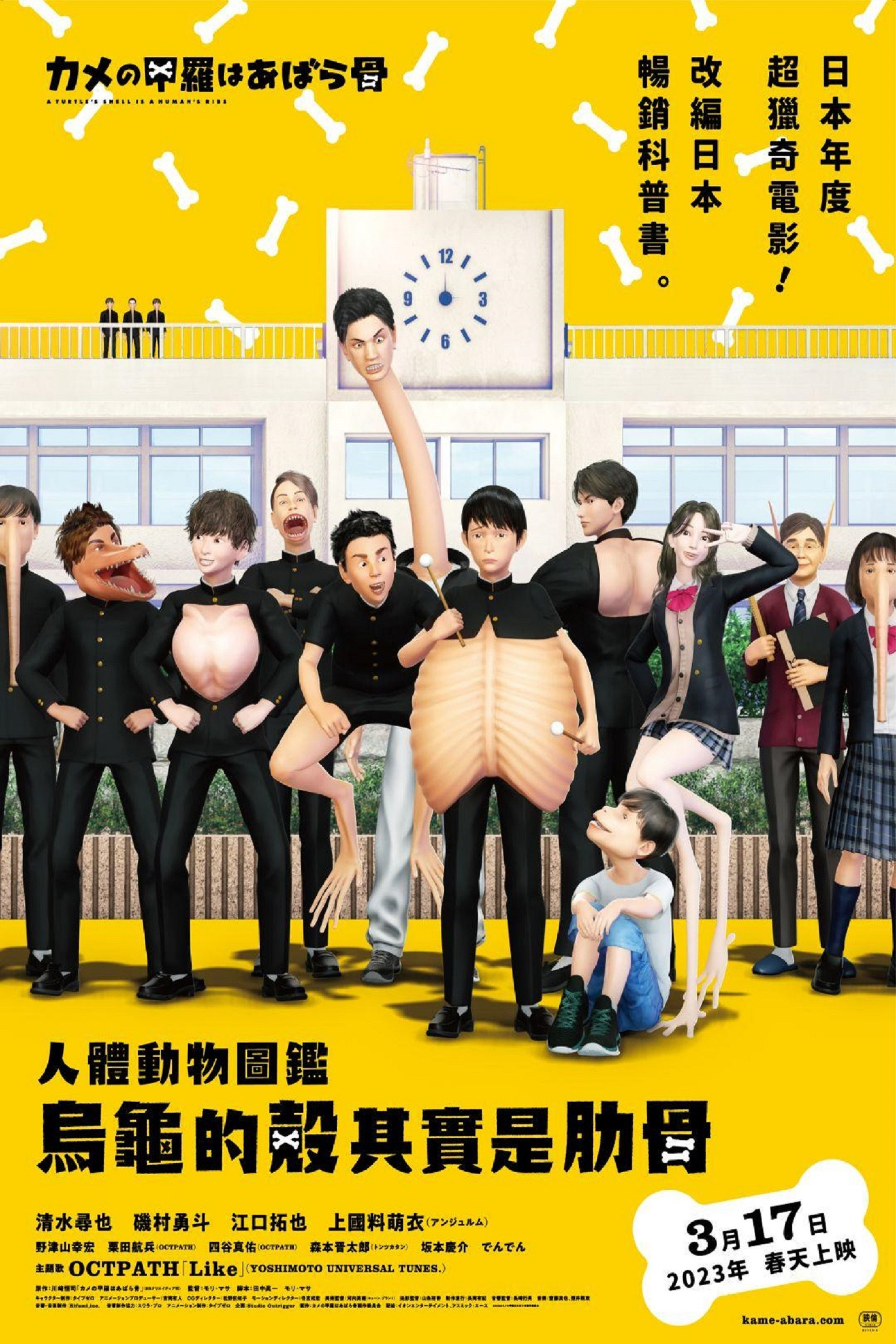 乌龟的壳其实是肋骨