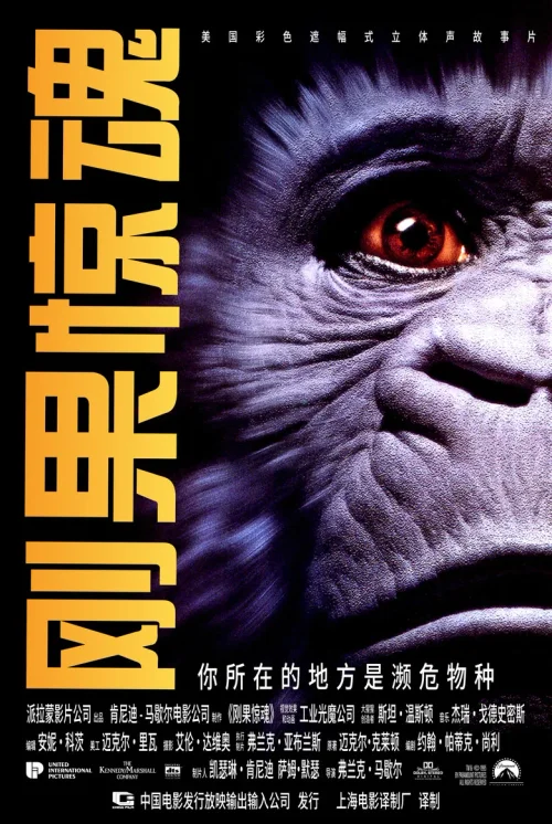 刚果惊魂