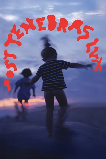 柳暗花明