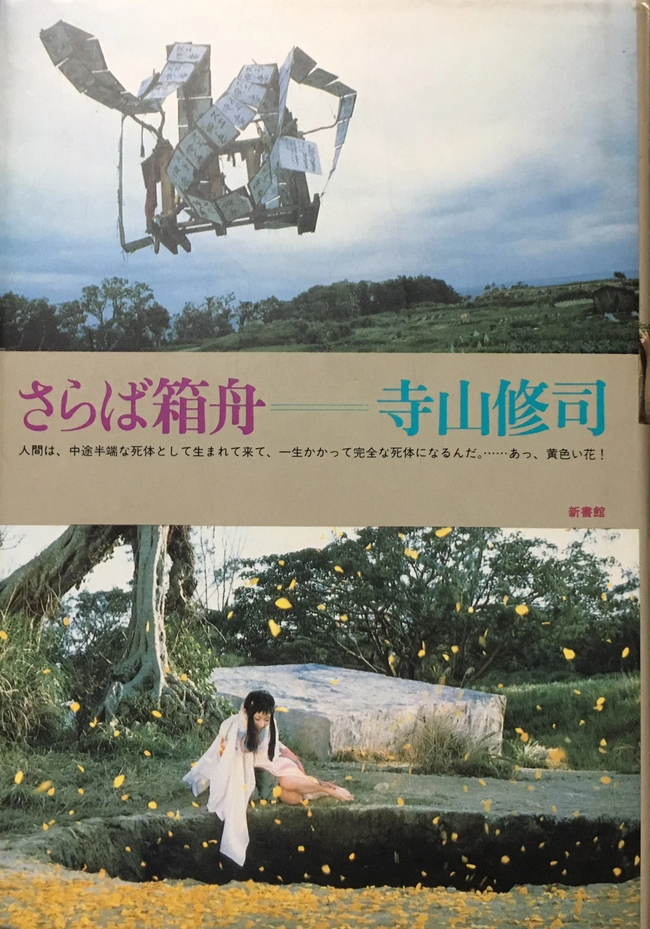 再见箱舟