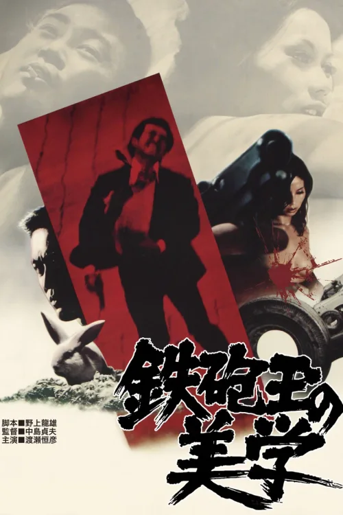 铁炮玉的美学