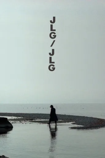 戈达尔/戈达尔：十二月的自画像