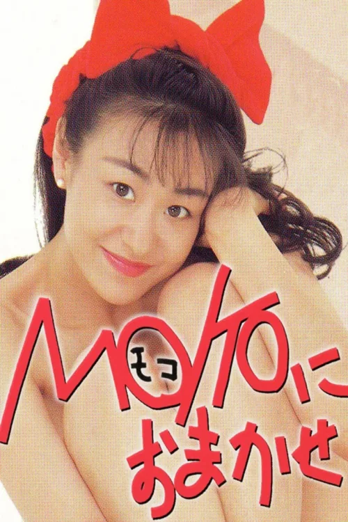 交给 MOKO 吧