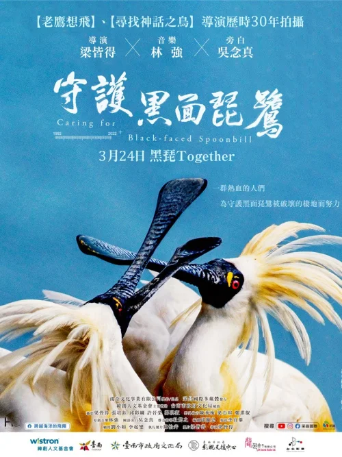 守护黑面琵鹭
