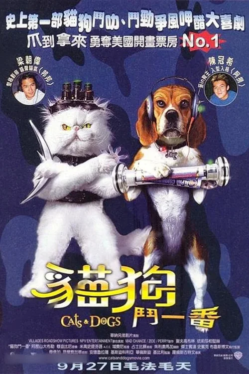 猫狗大战
