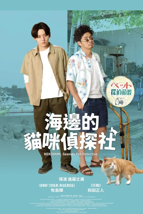 海岸大街上的猫咪侦探