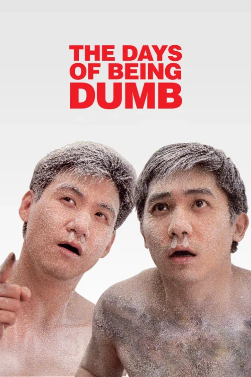 亚飞与亚基