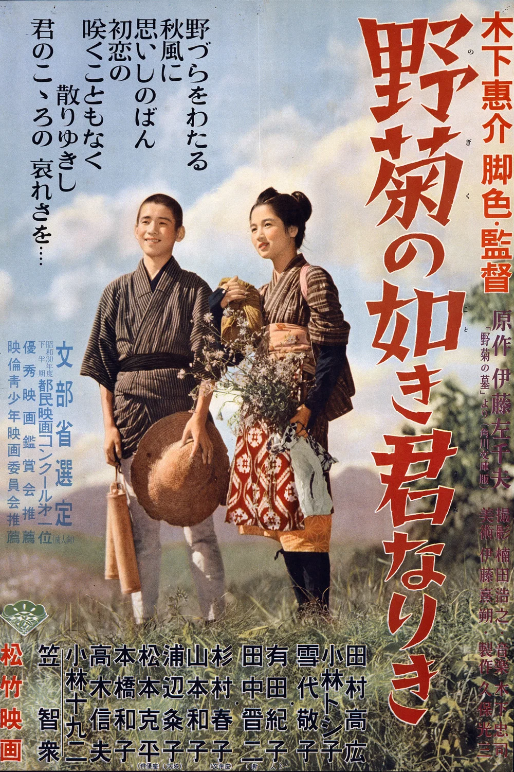 野菊之墓