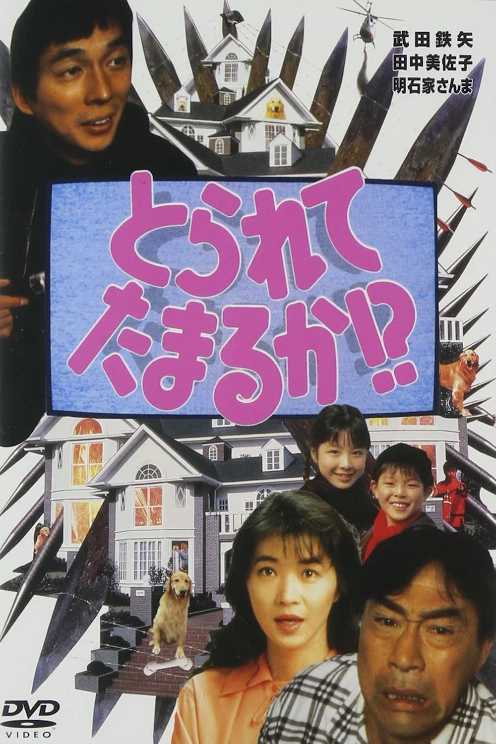 插翅难逃