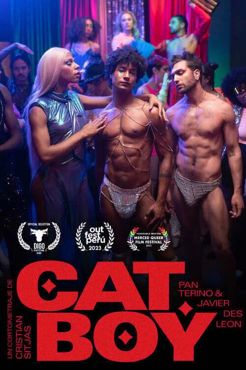 猫男孩