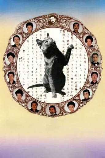 我是猫
