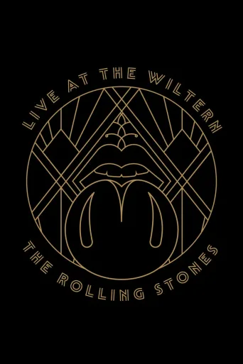 滚石乐队：Live at the Wiltern 演唱会