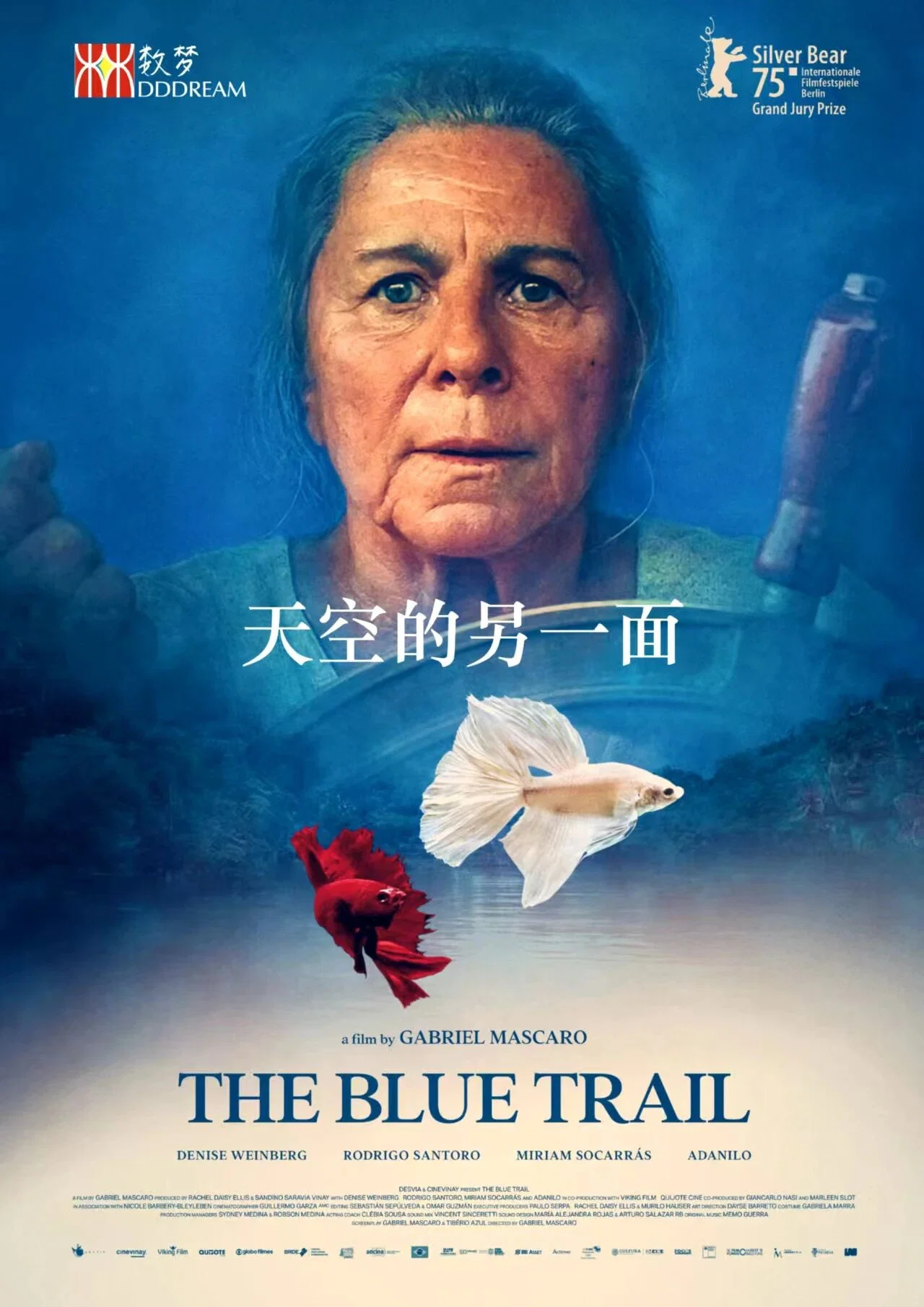天空的另一面