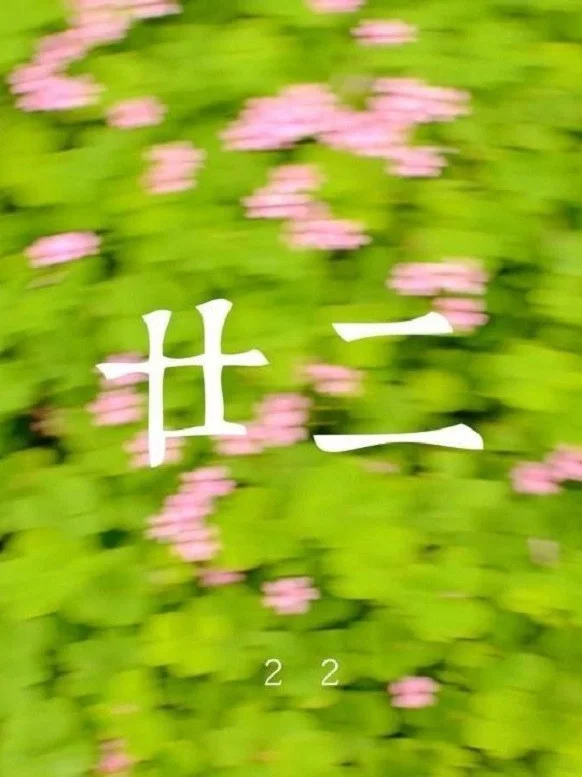 廿二