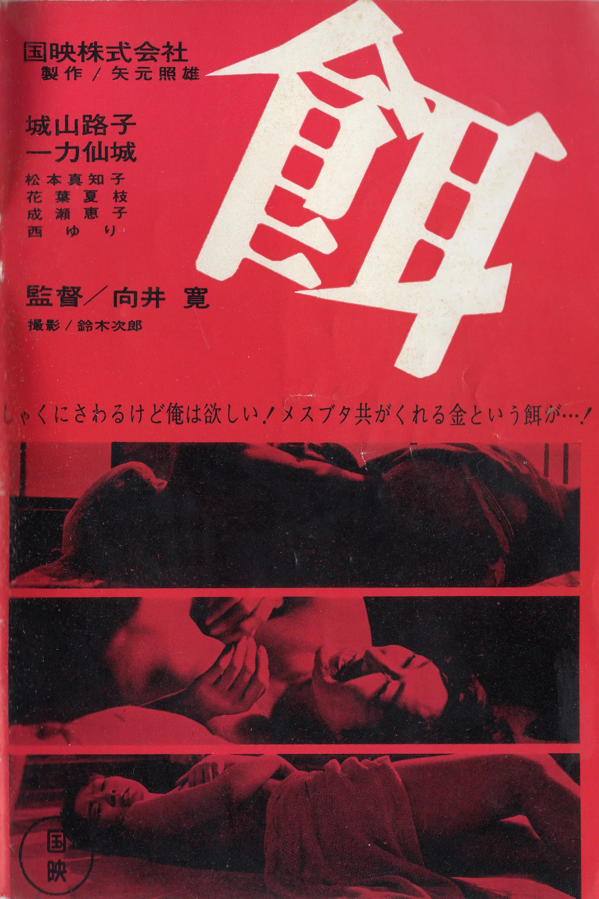 饵