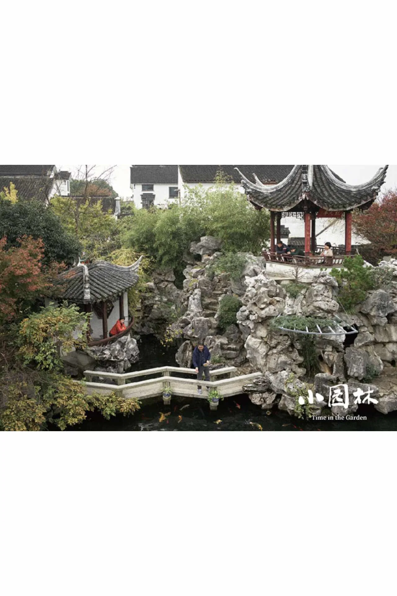 小园林