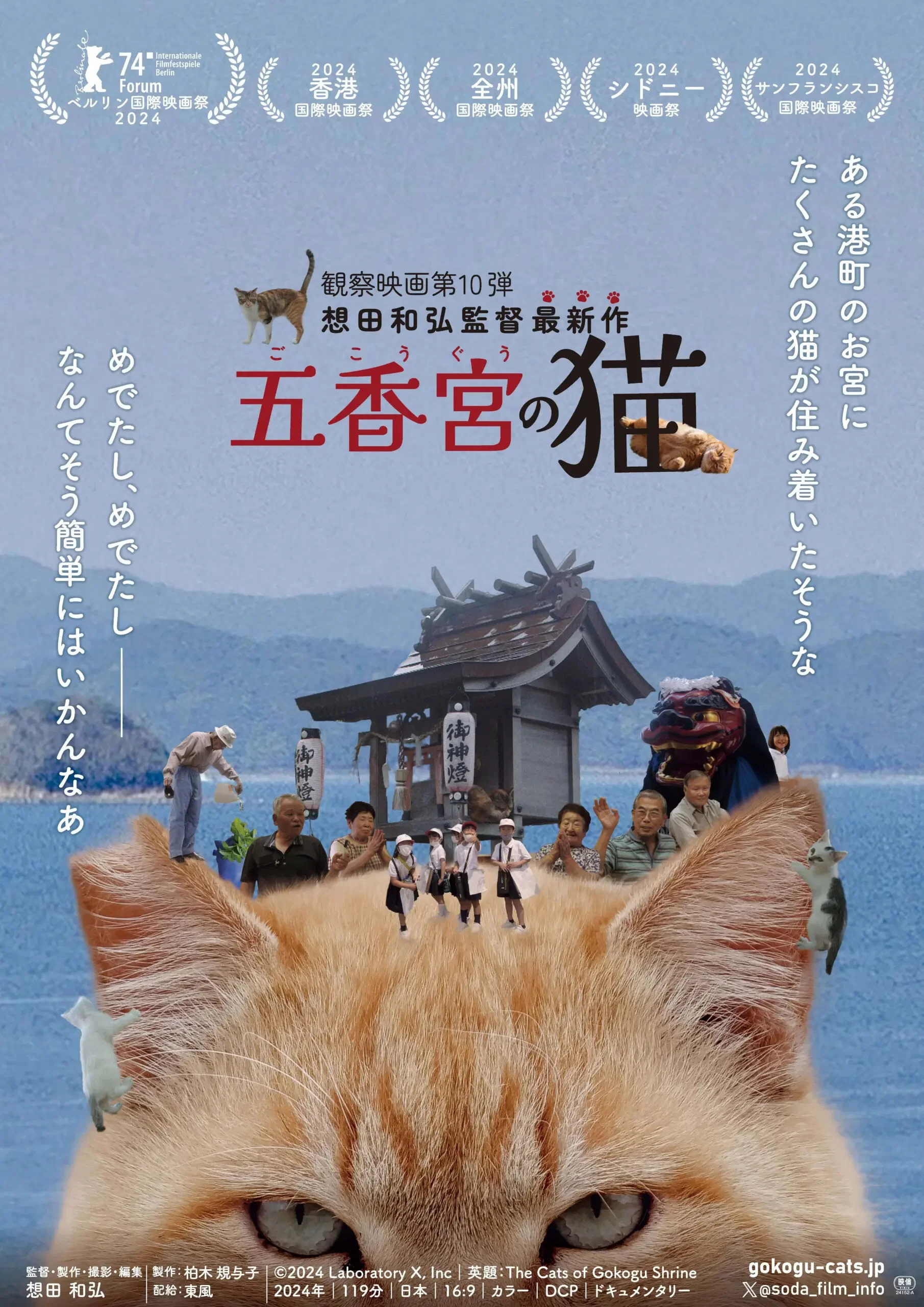 五香宫的猫