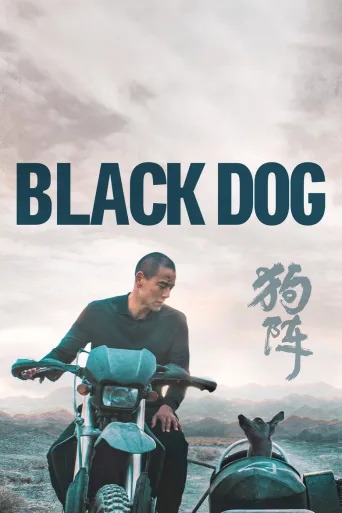 狗阵