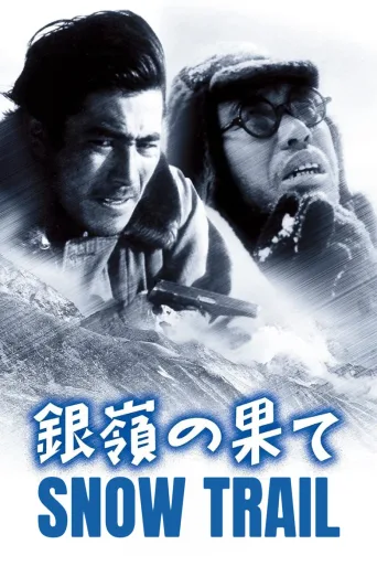 银岭之巅