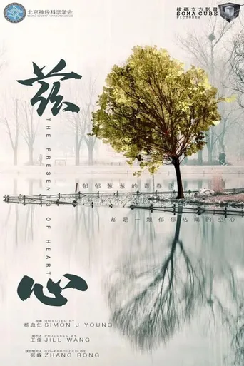兹心
