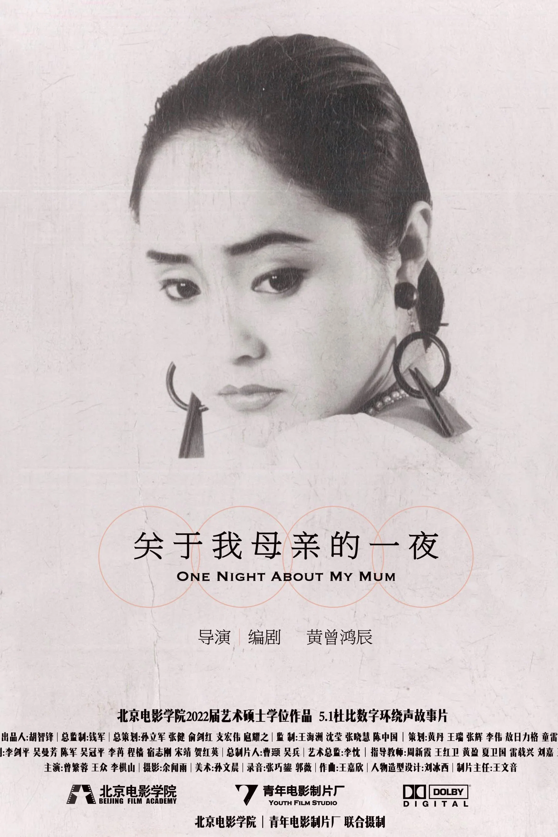 关于我母亲的一夜