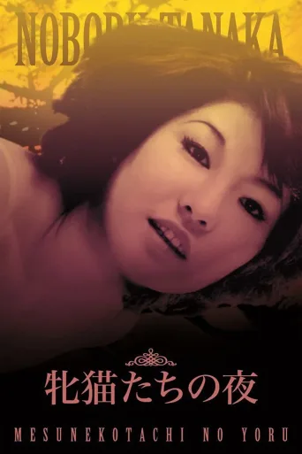 性感小野猫