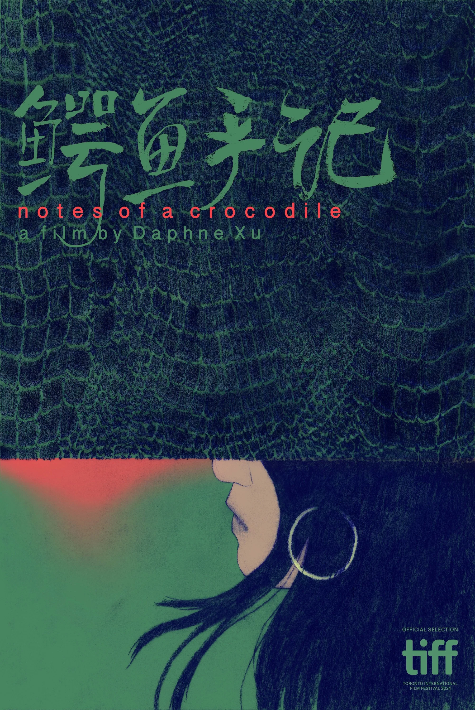 鳄鱼手记