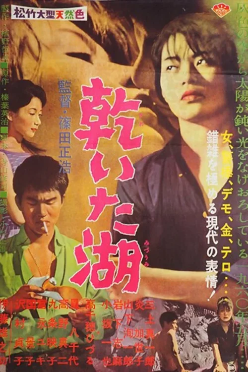 干涸的湖