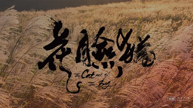 花臉貓：修羅道 剧照 3