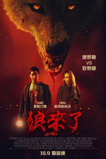 郊狼