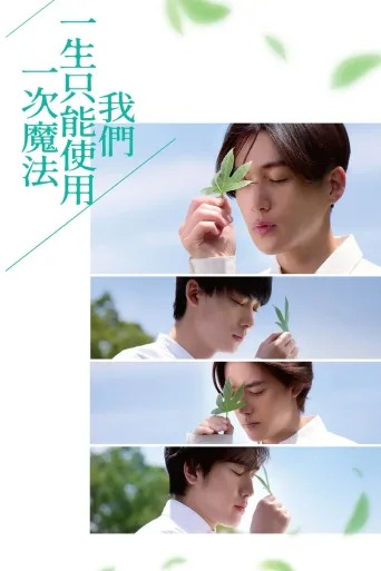 我们一生中只能使用一次魔法