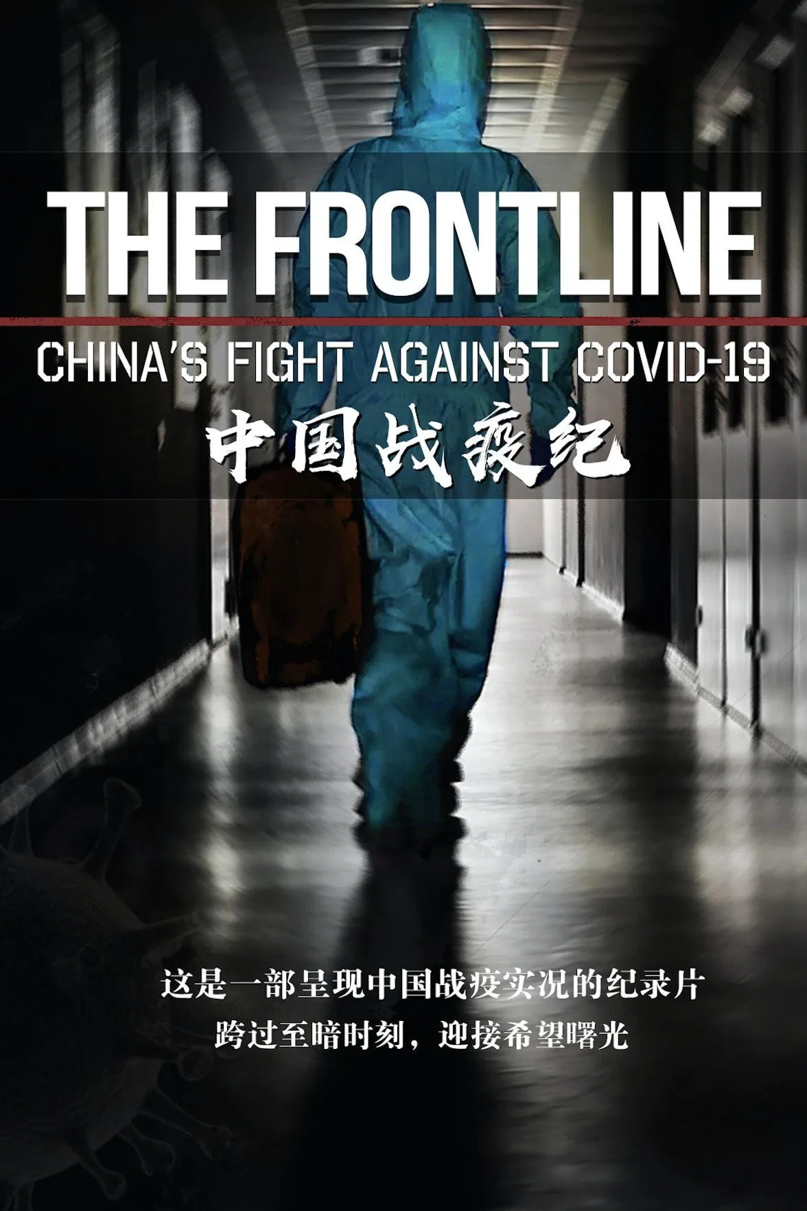 中国战疫纪