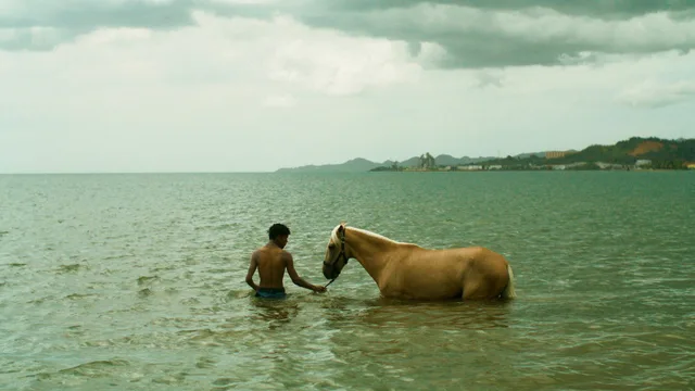 Esta Isla 剧照 3