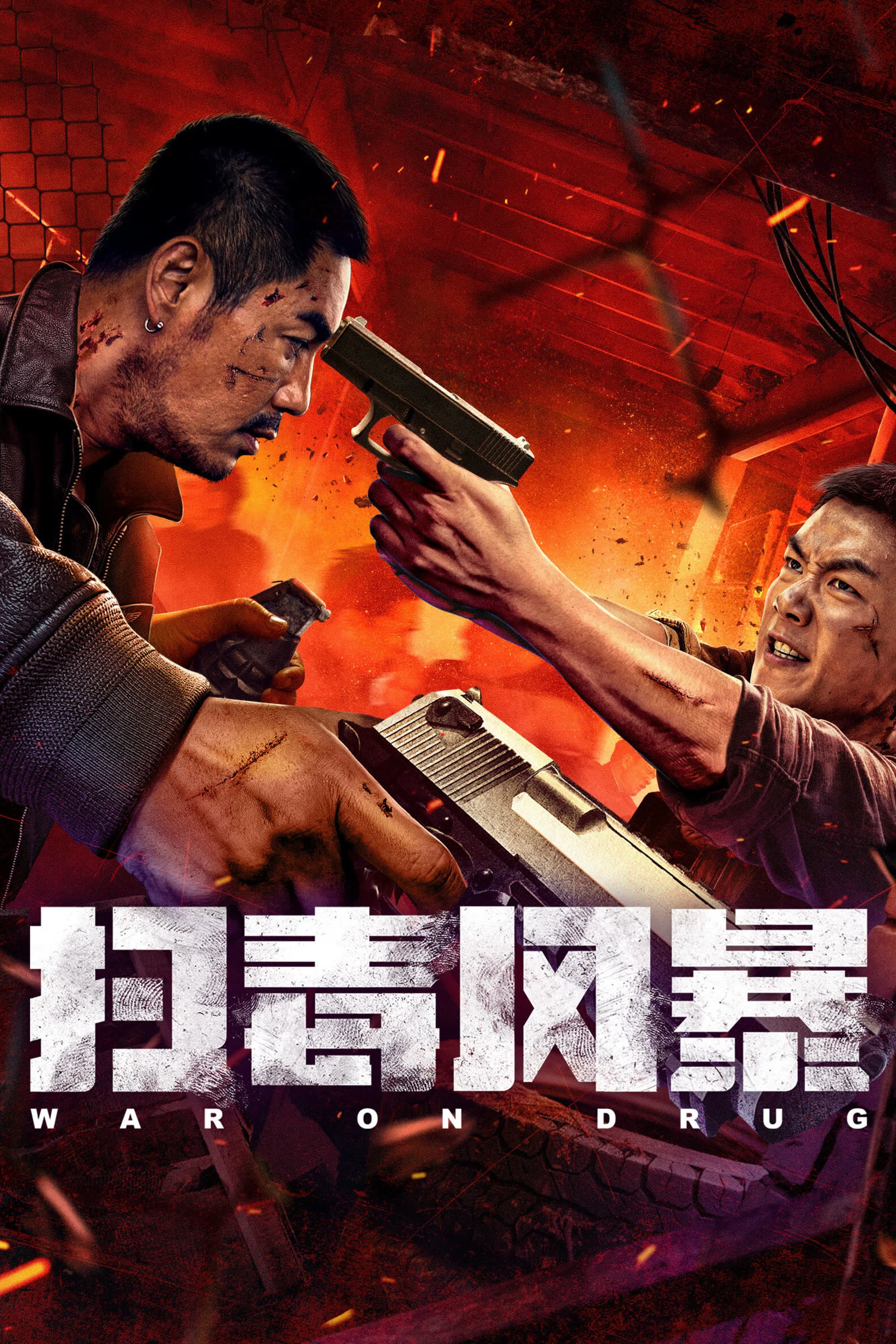扫毒风暴