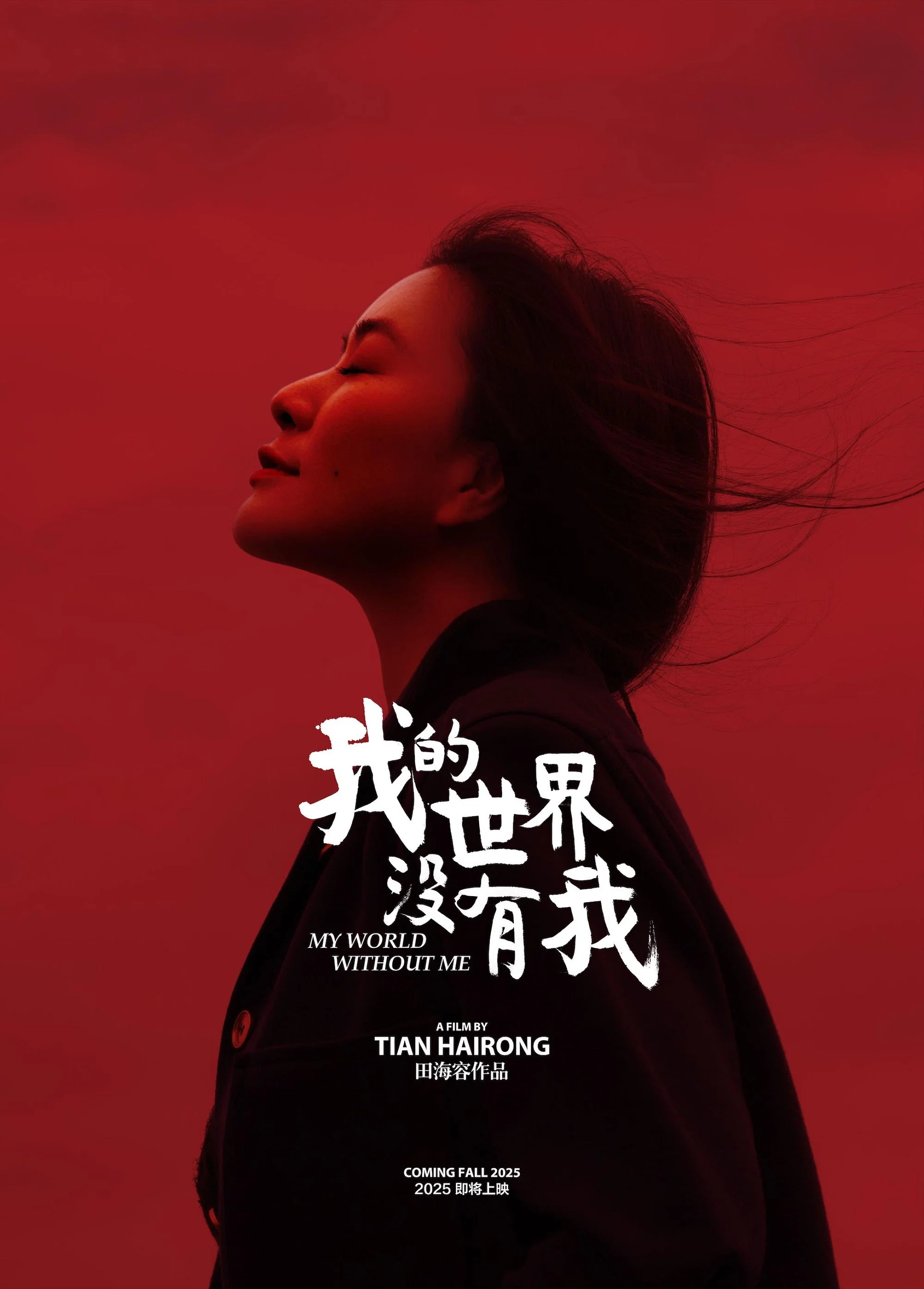我的世界没有我