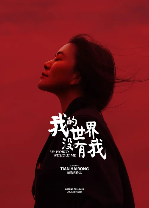 我的世界没有我