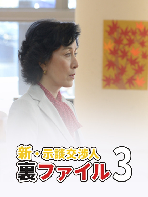 新·调停交涉人秘密档案3