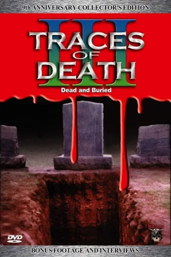 地下影带3：死在亚洲