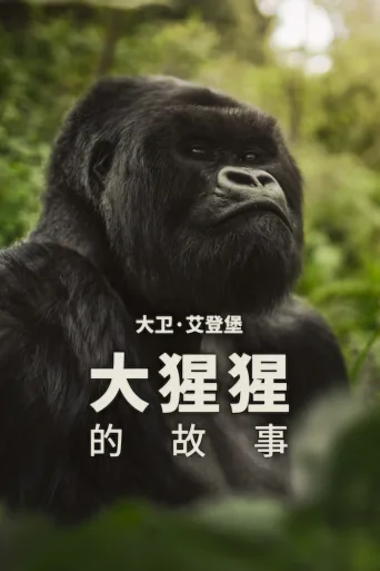 大卫·爱登堡：大猩猩的故事