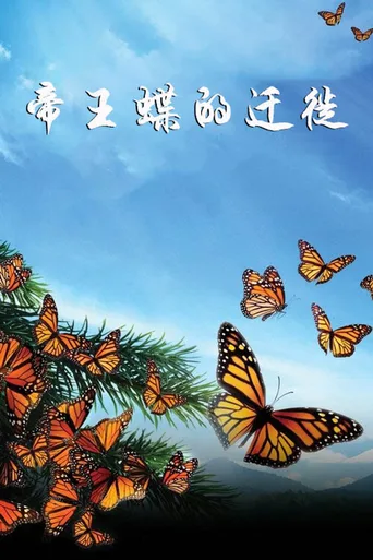 帝王蝶的迁徙