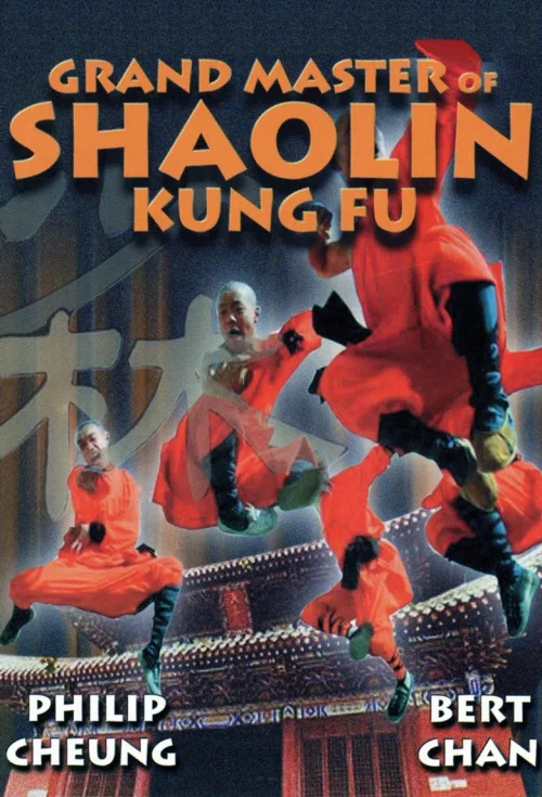 达摩神功