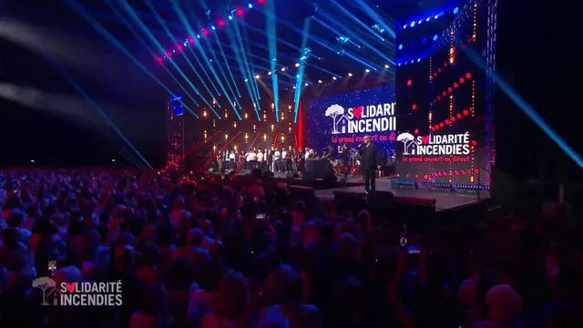 Solidarité Incendies - Le Grand Concert en direct 剧照 3