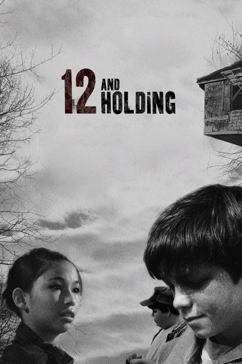 12岁的少年