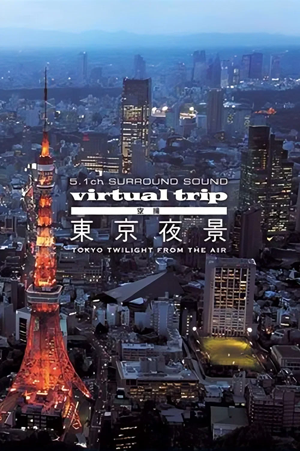 实境之旅：东京夜景