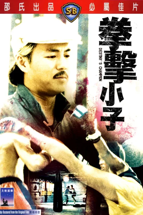 拳击小子