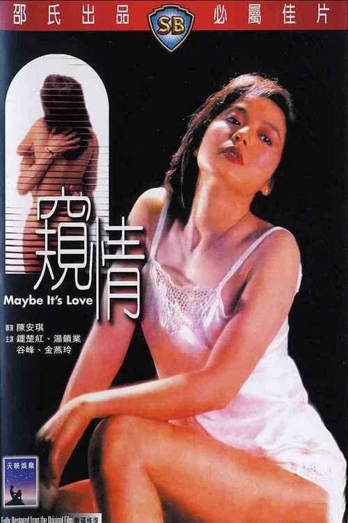 窥情